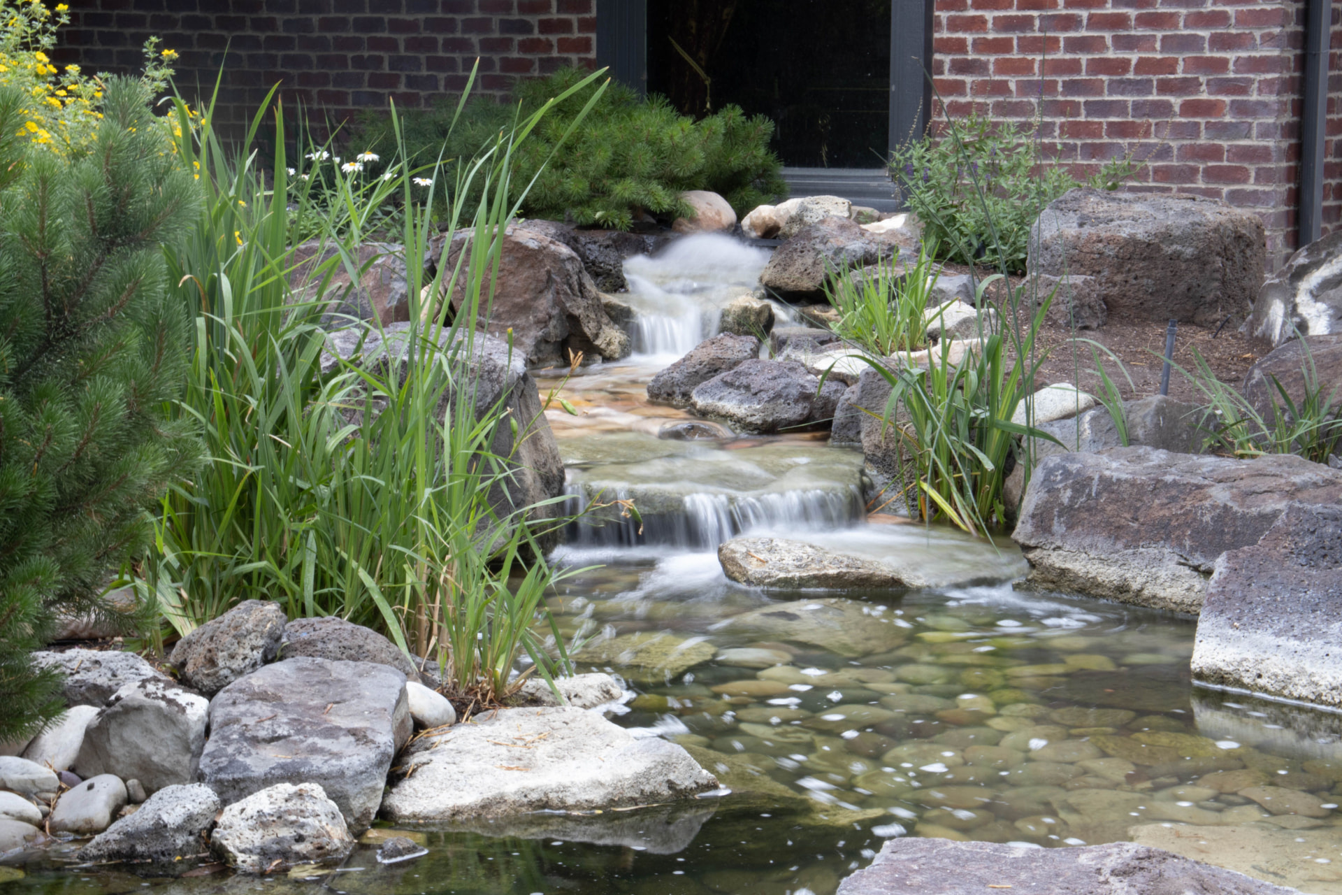 Natural stone waterfall cascading over boulders into a shallow pebble-lined pool, framed by ornamental grasses and pines against a brick home