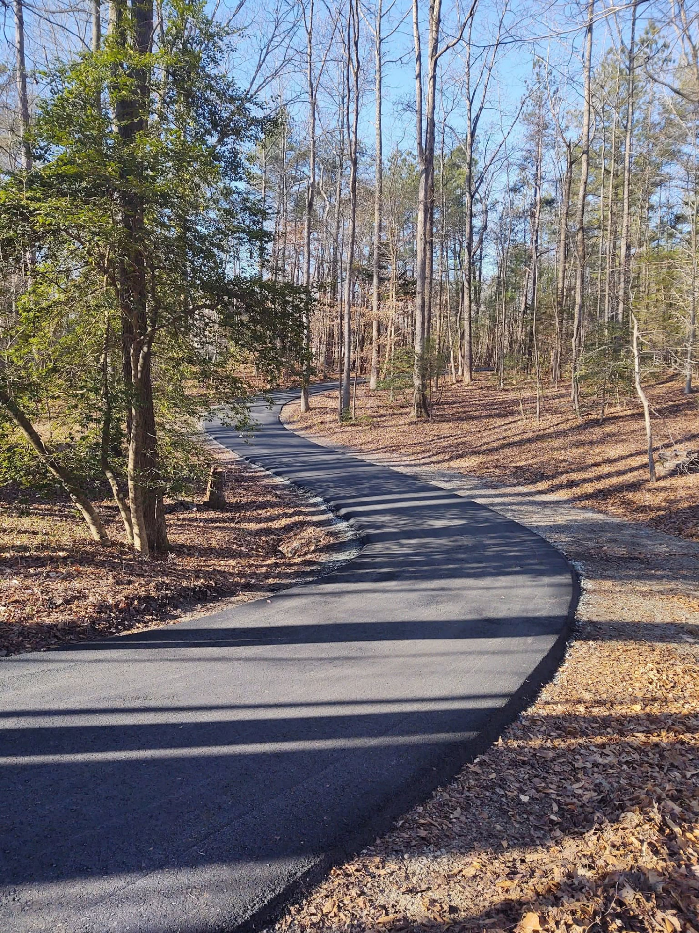Fresh asphalt driveway winding through mature trees toward a wooded homesite