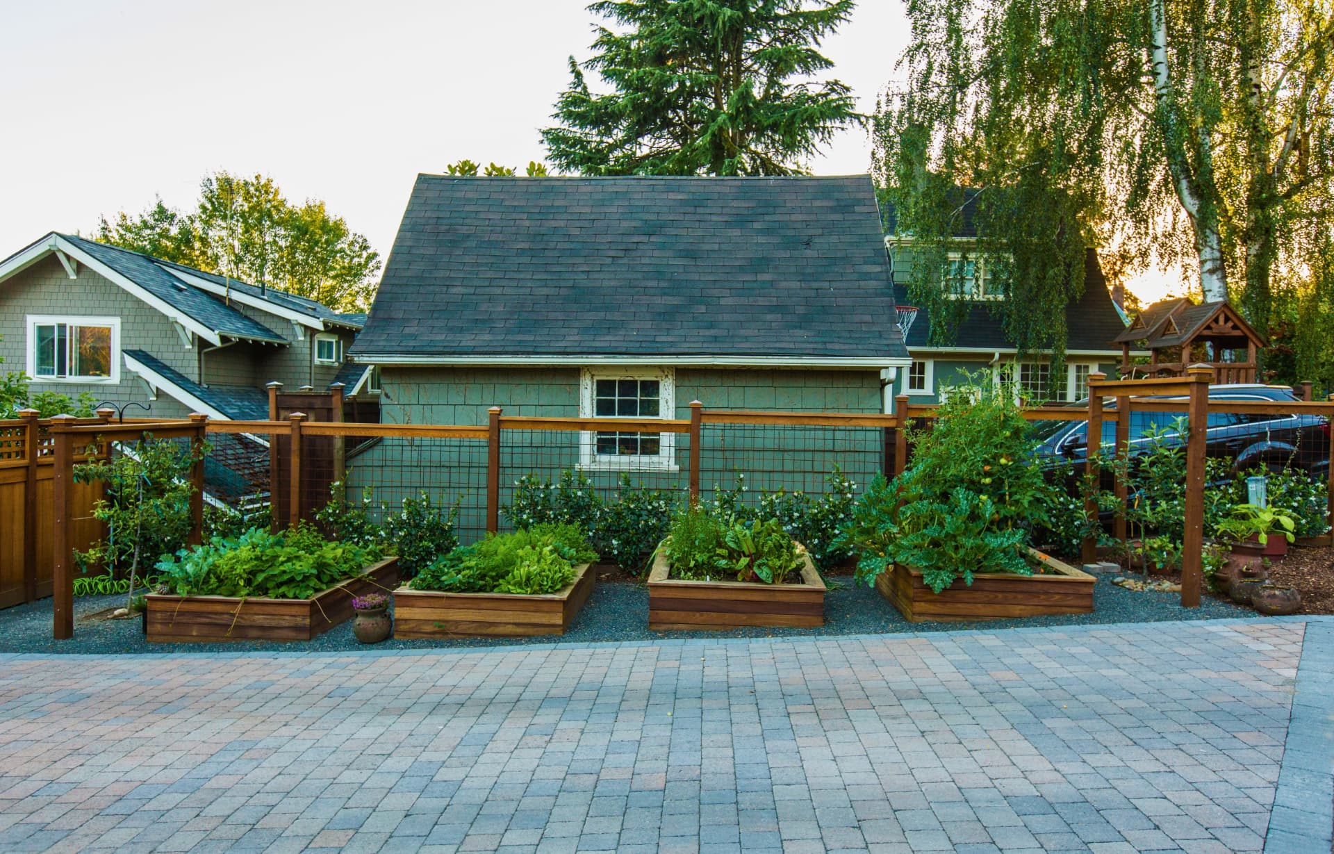 Raised wooden garden beds set in a gravel patio bordered by multi-tone pavers, with a garden shed beyond